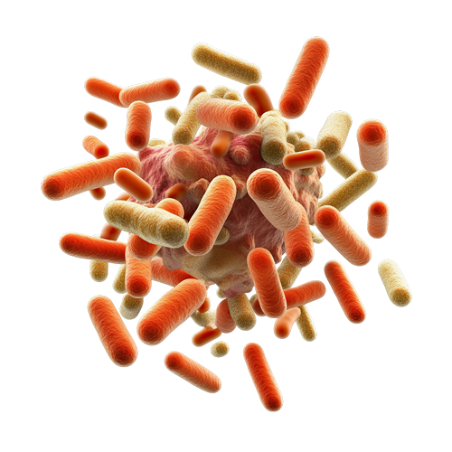 Simpearls® Health, Made Simple. #1 Wellness & Health Supplement in NZ